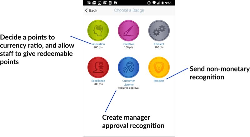 Showing the employee recognition badges that can be monetary, non-monetary, or requires a manager approval.