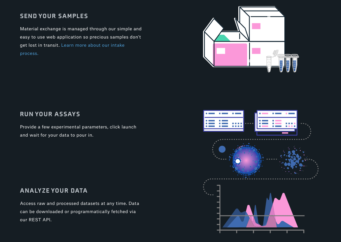 Dark DNA explainer
