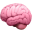 brain icon