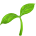 seedling icon